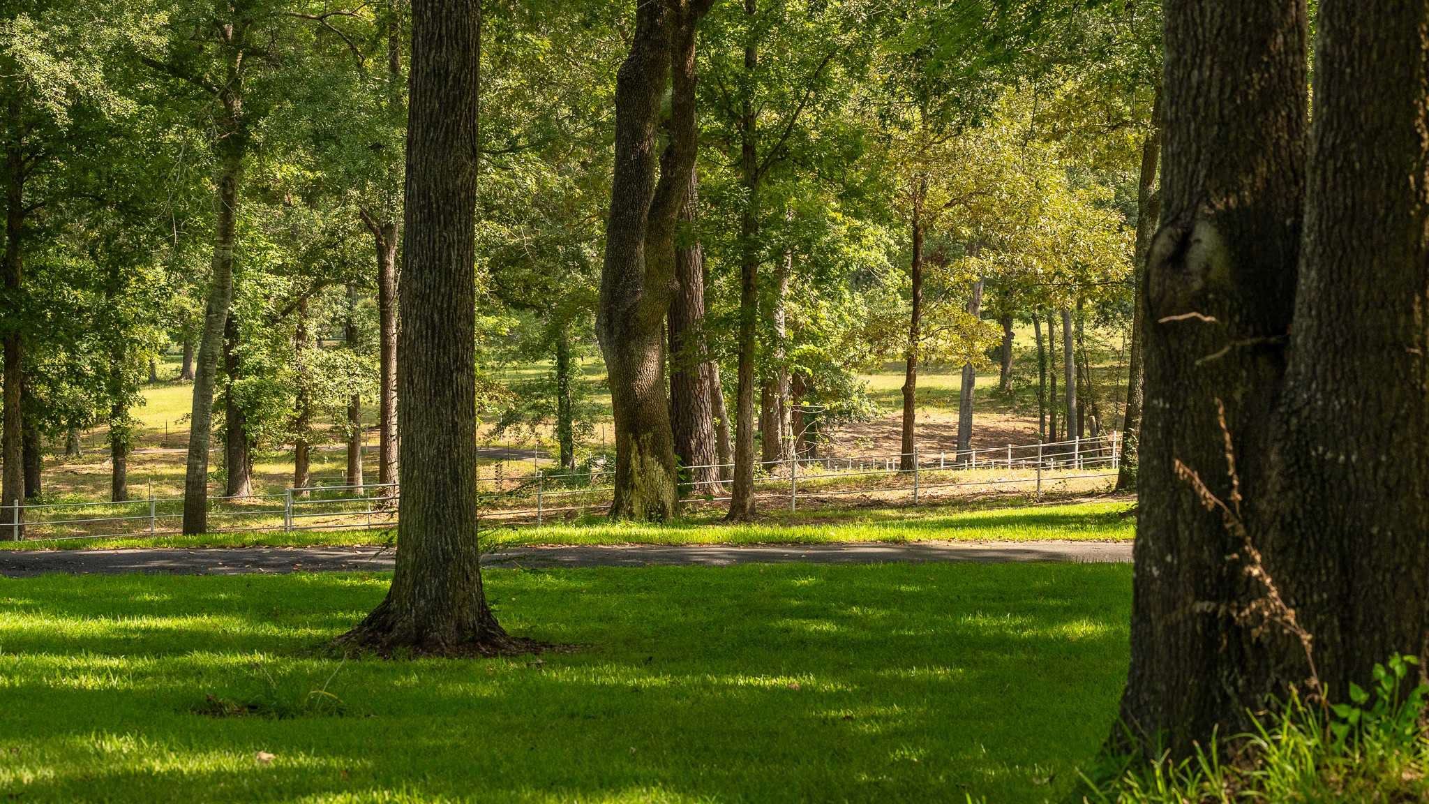 SOLD! Overton TX Ranch for Sale in Rusk County East of Dallas
