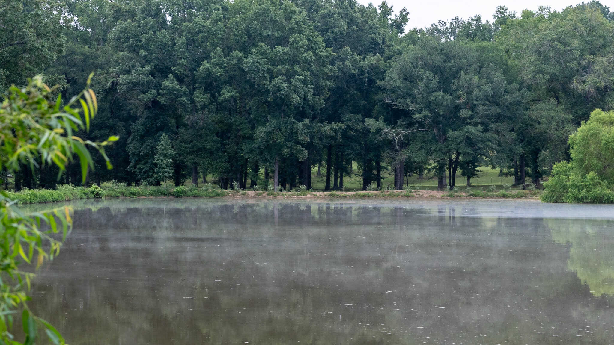 SOLD! Overton TX Ranch for Sale in Rusk County East of Dallas