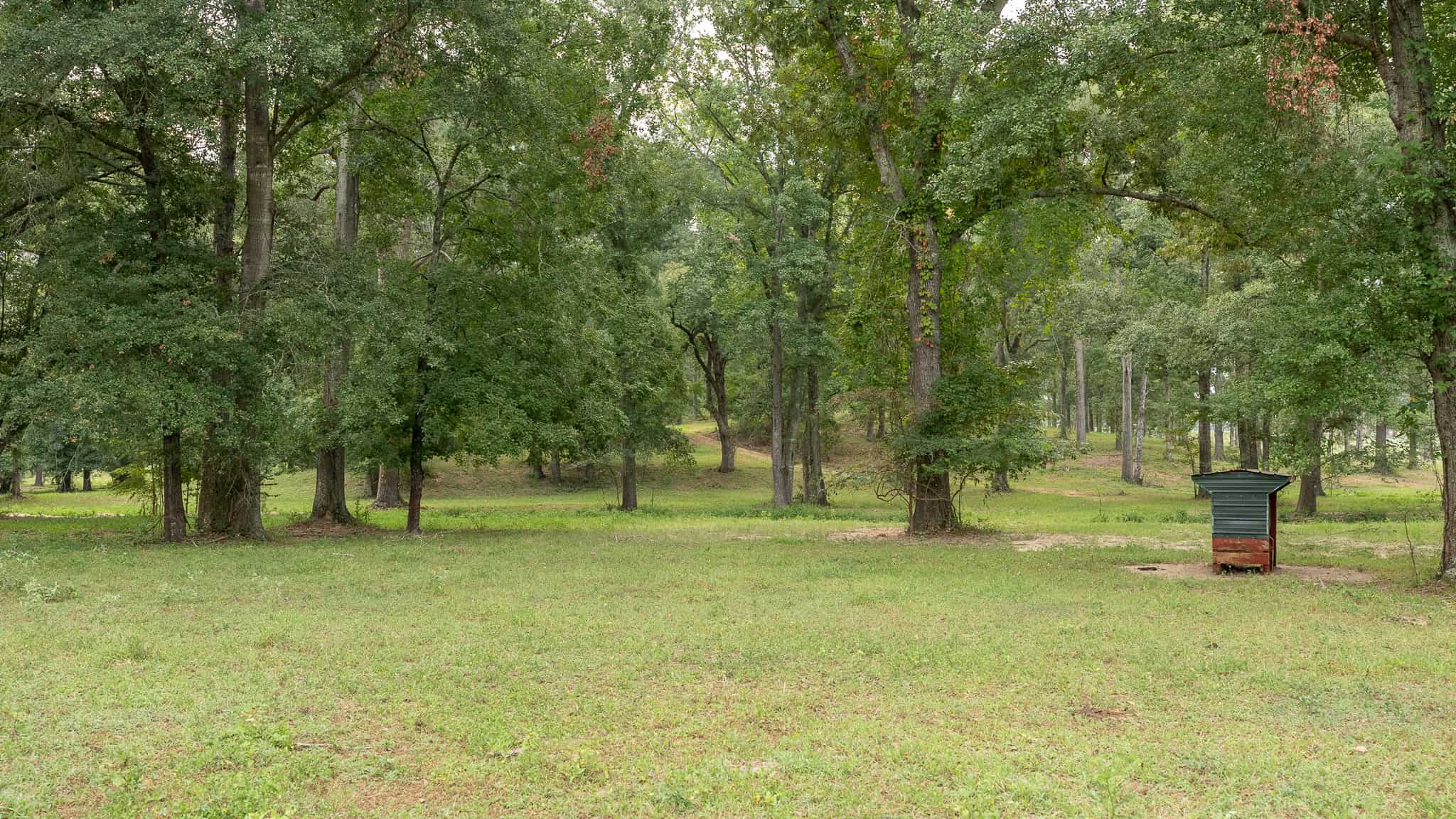 SOLD! Overton TX Ranch for Sale in Rusk County East of Dallas