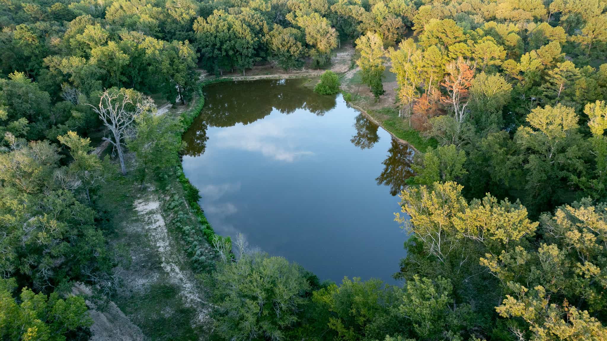 SOLD! Overton TX Ranch for Sale in Rusk County East of Dallas