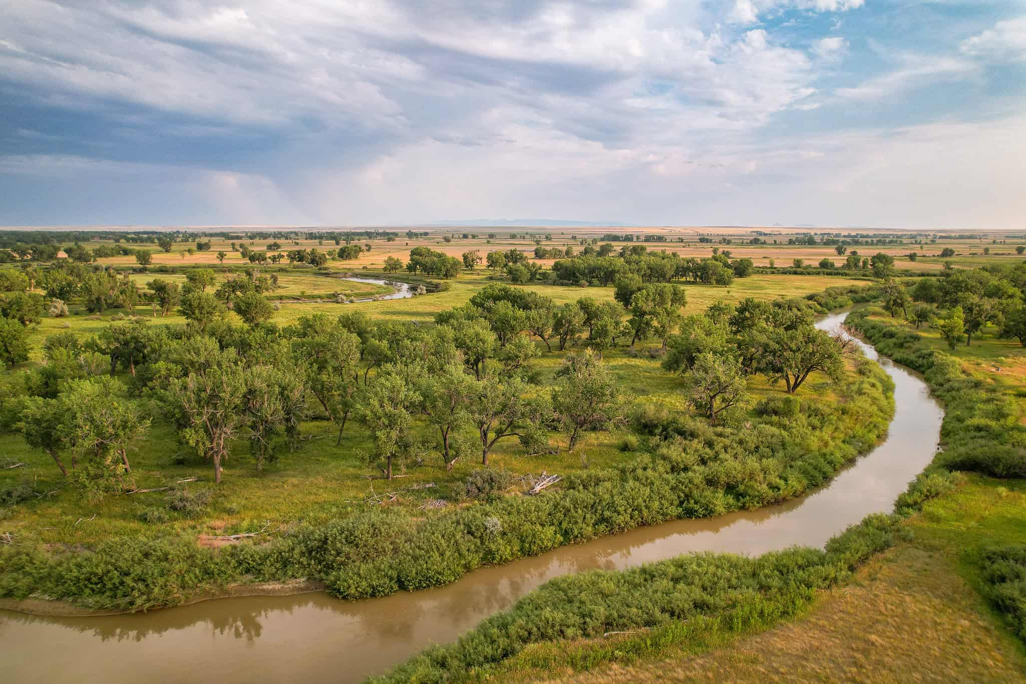 Milk River Treasure Ranch Dryland Farm Hay Production