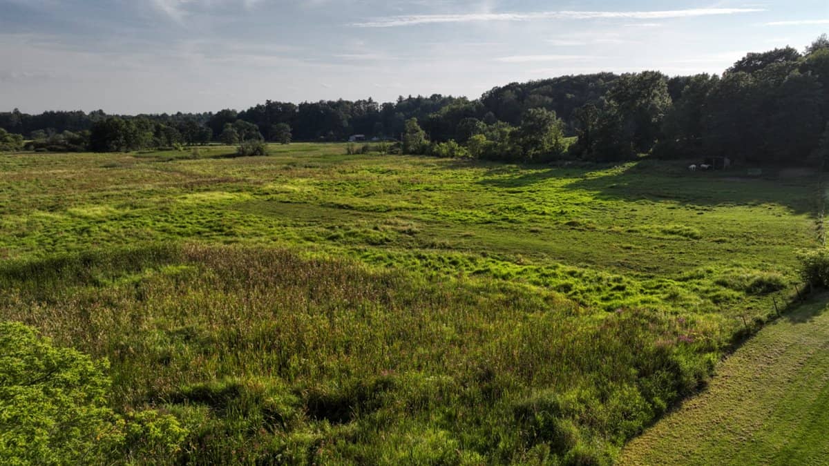 37+ Acres of Unlimited Potential – Elroy, WI