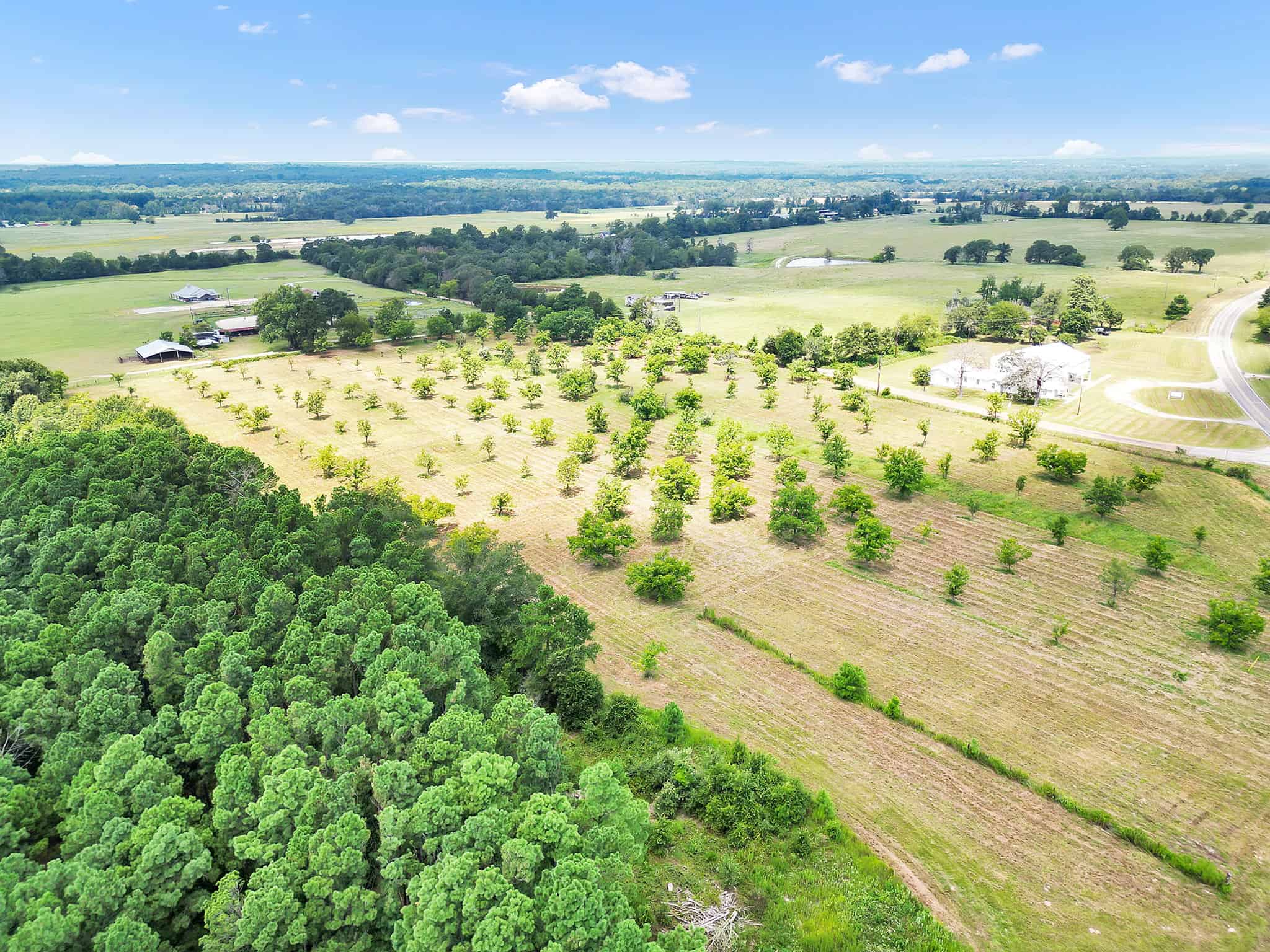 Henderson County Texas Legacy Farm For Sale Near Athens TX