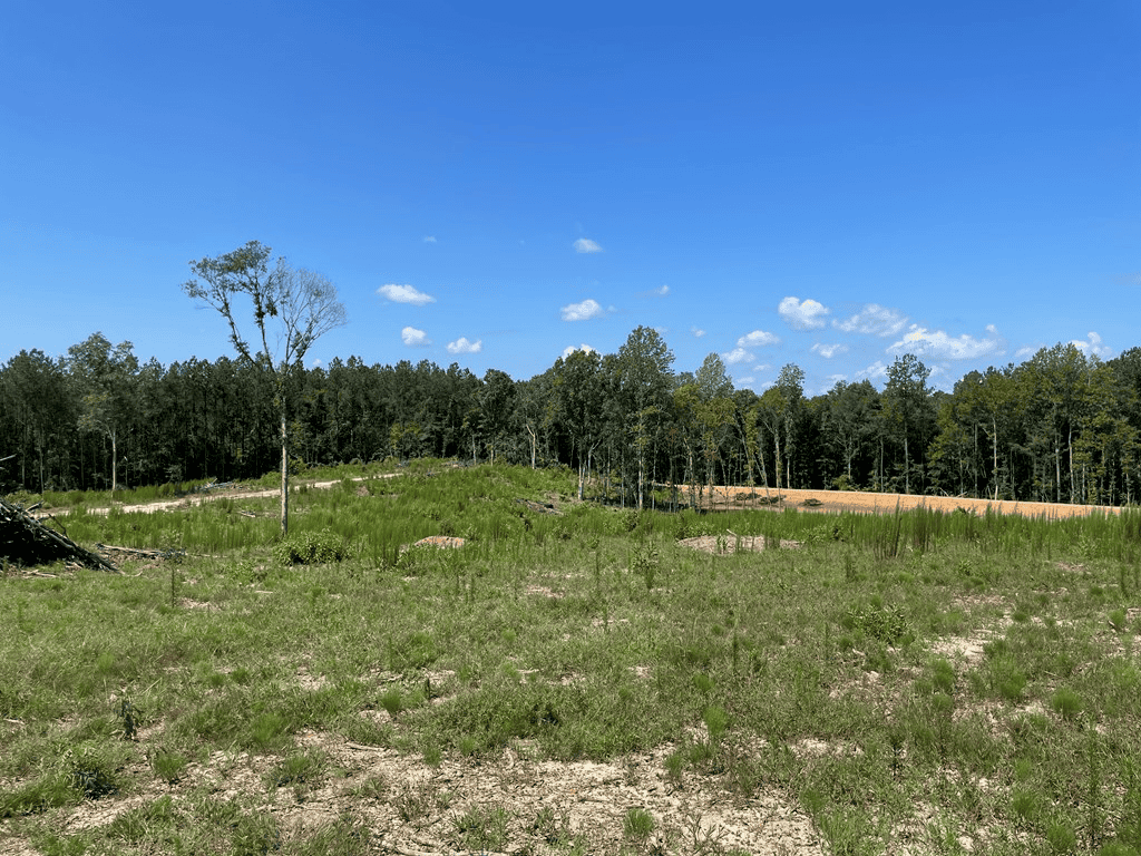 Mt Hermon 20 Acres For Sale