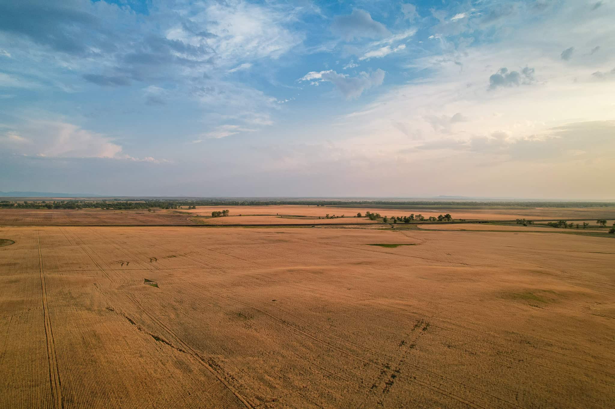 Milk River Treasure Ranch Dryland Farm Hay Production