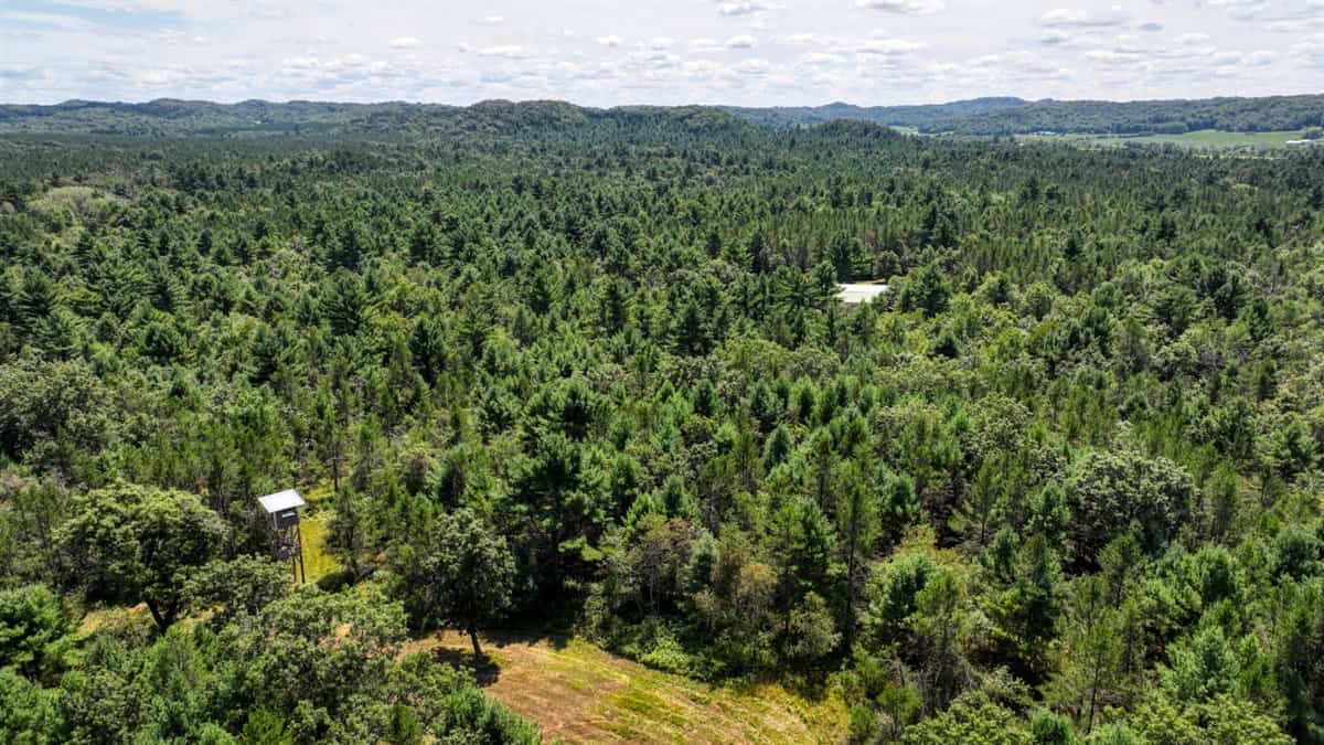 4-Bedroom Home Tucked Away in the Pines