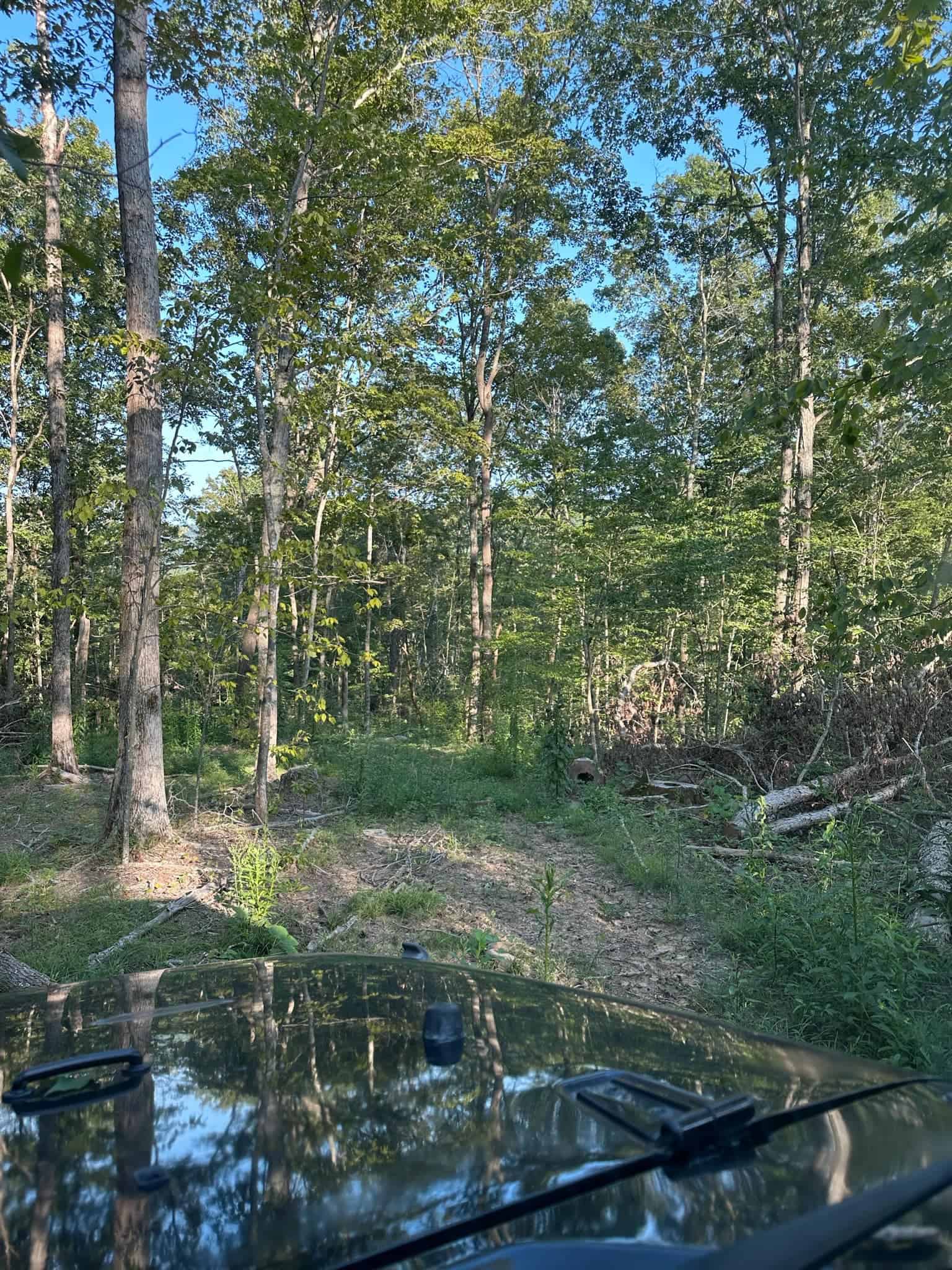 Acreage in Wayne County, Kentucky