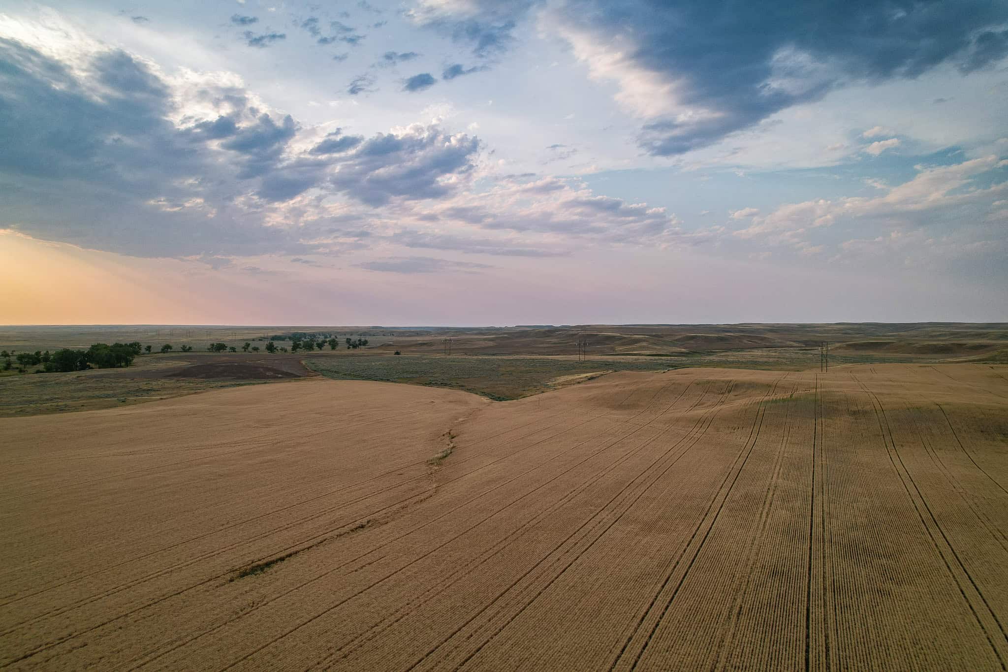 Milk River Treasure Ranch Dryland Farm Hay Production