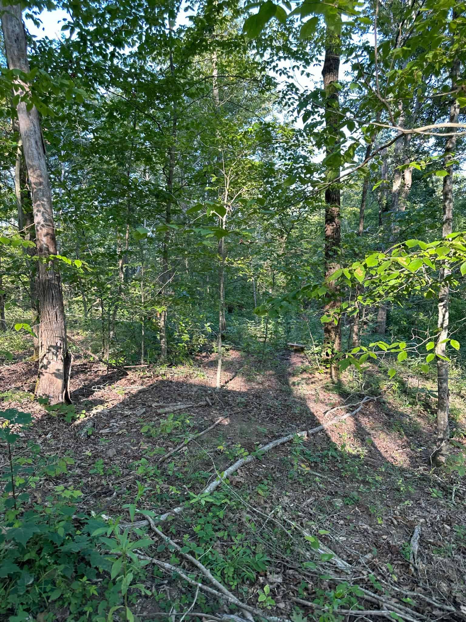 Acreage in Wayne County, Kentucky