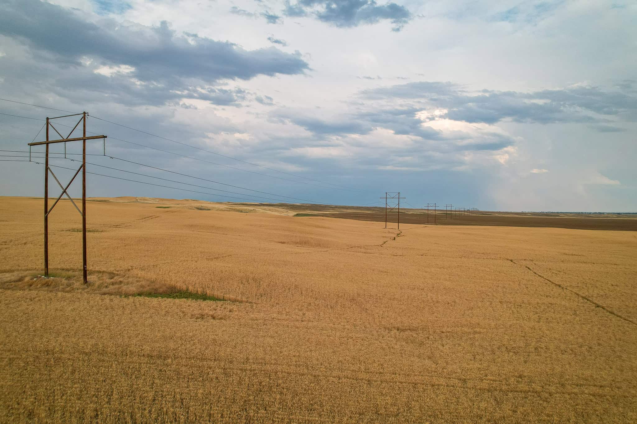 Milk River Treasure Ranch Dryland Farm Hay Production