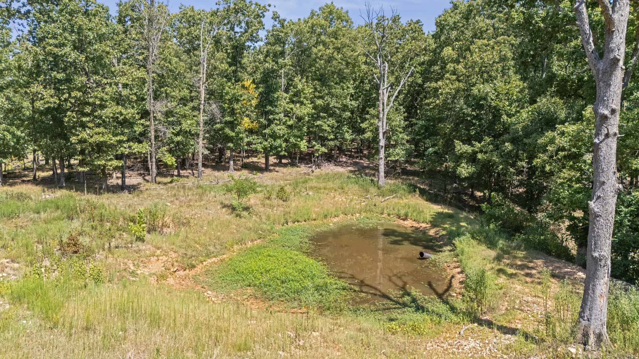 160 Acre Hunting Land in Delaware County Oklahoma