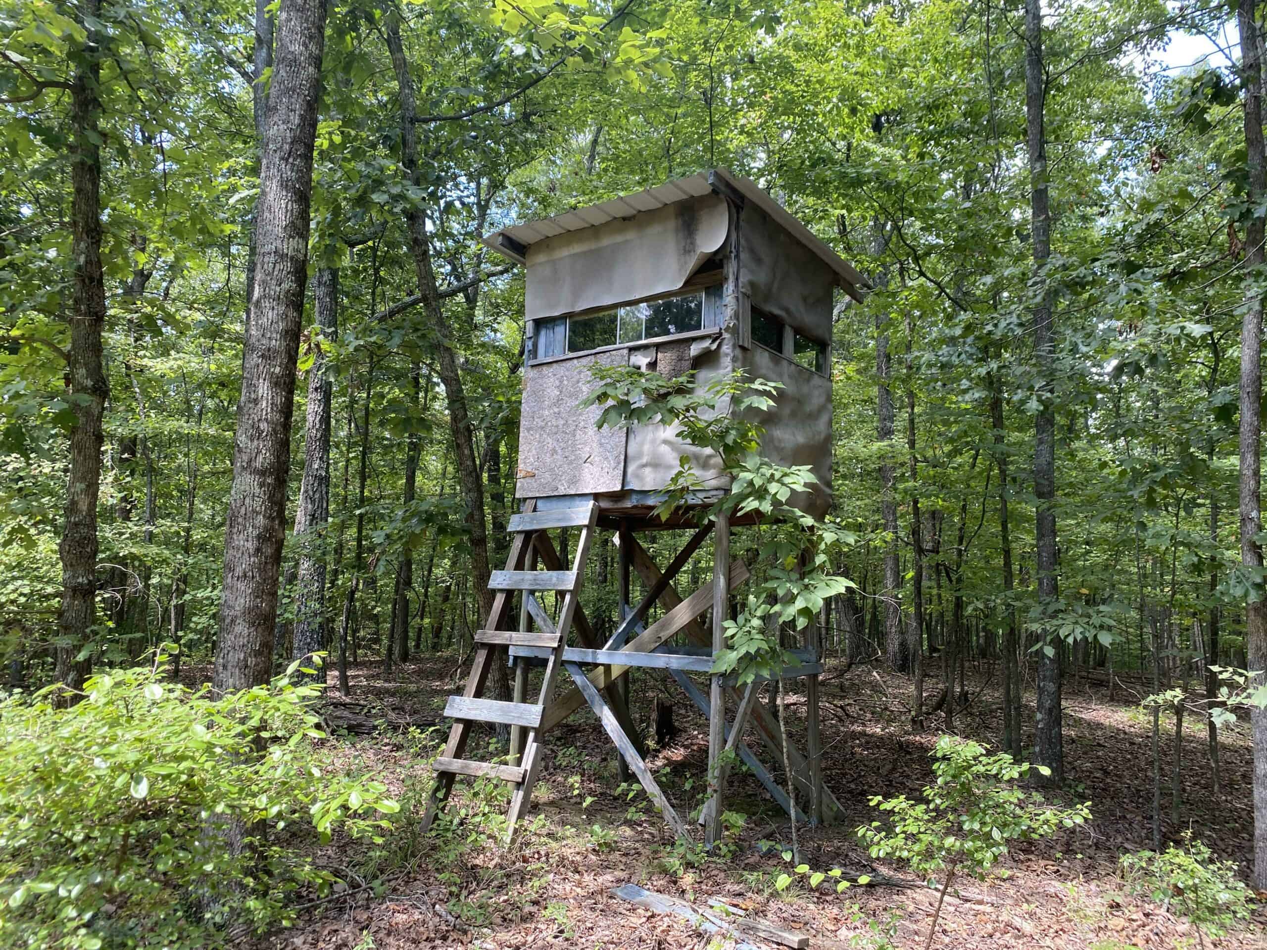HUNTING PROPERTY FOR SALE IN TN WITH TIMBER AND BRANCH