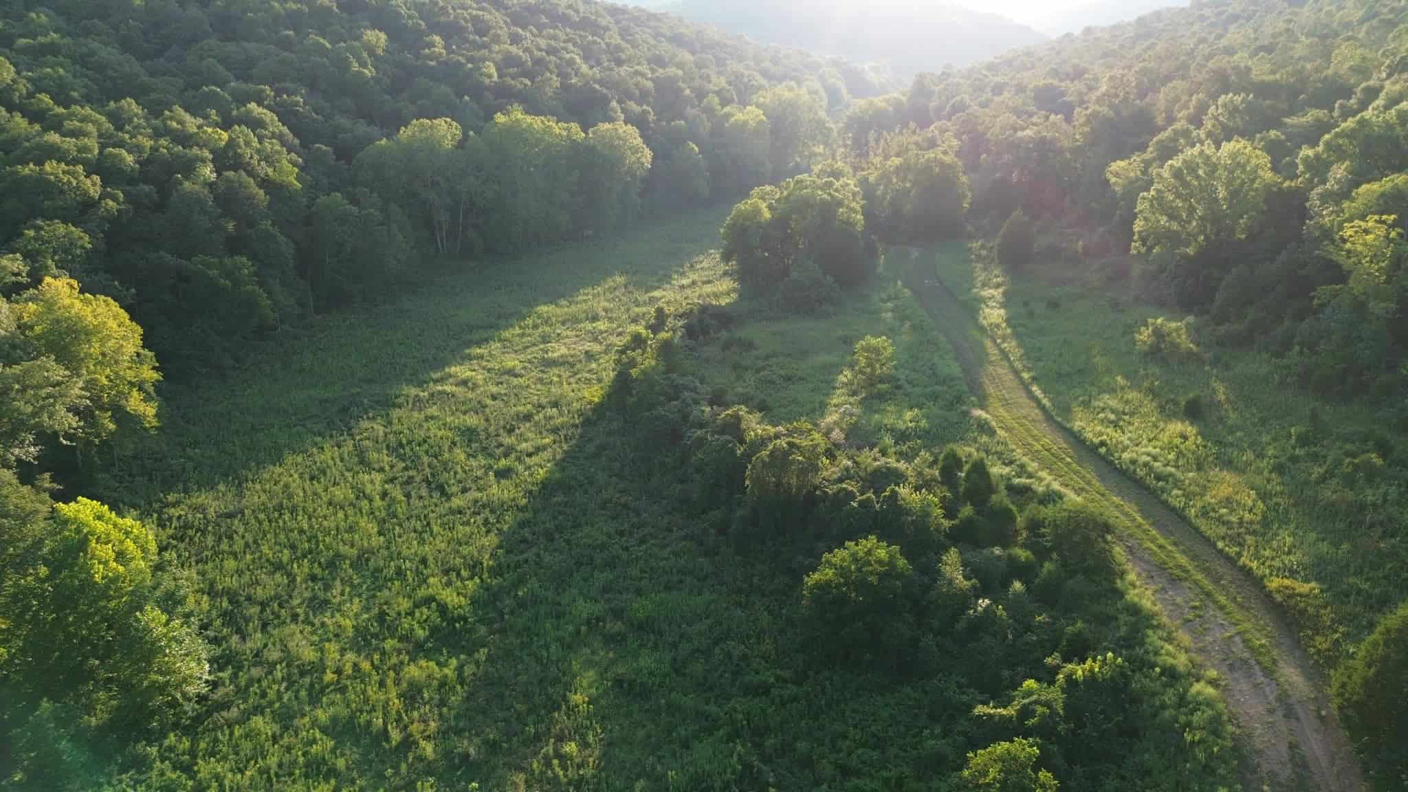 Acreage in Wayne County, Kentucky