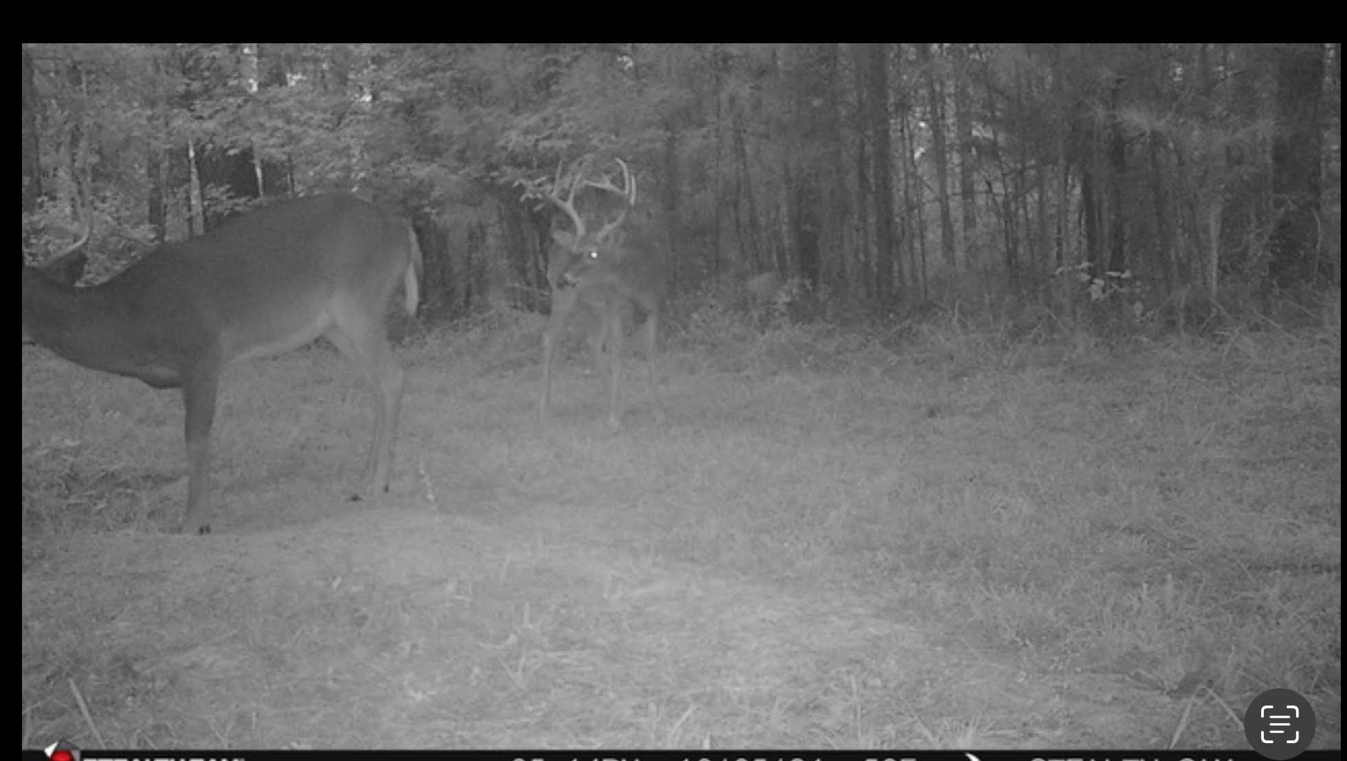 Hunting and Timberland for Sale in Claiborne County, MS