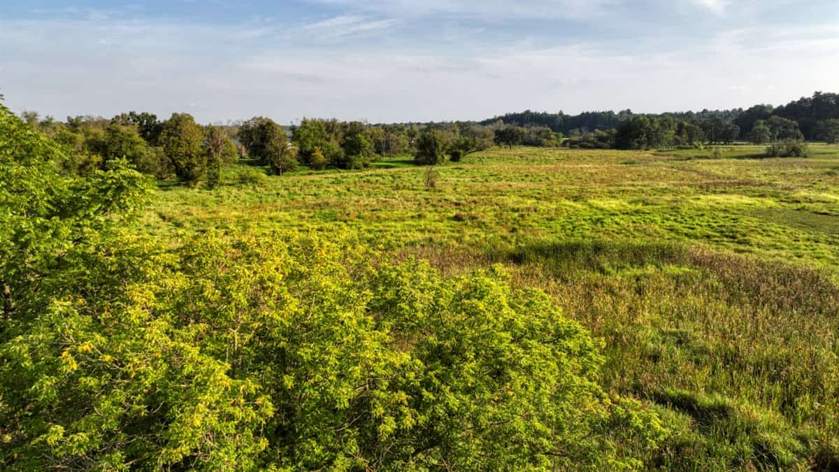 37+ Acres of Unlimited Potential – Elroy, WI