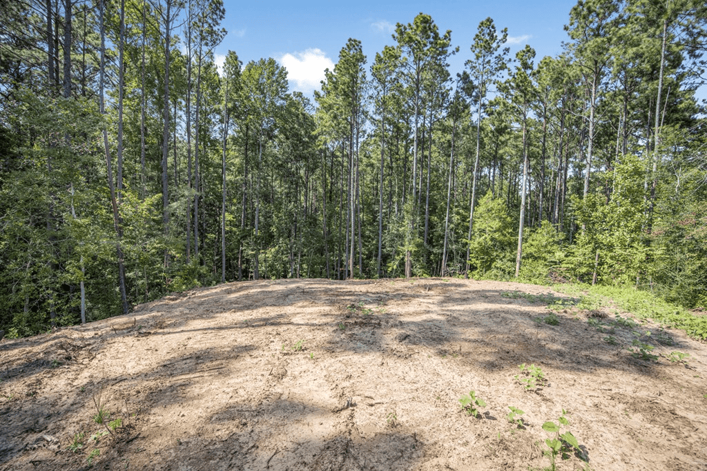 Small Hunting Property Near Caston Creek WMA