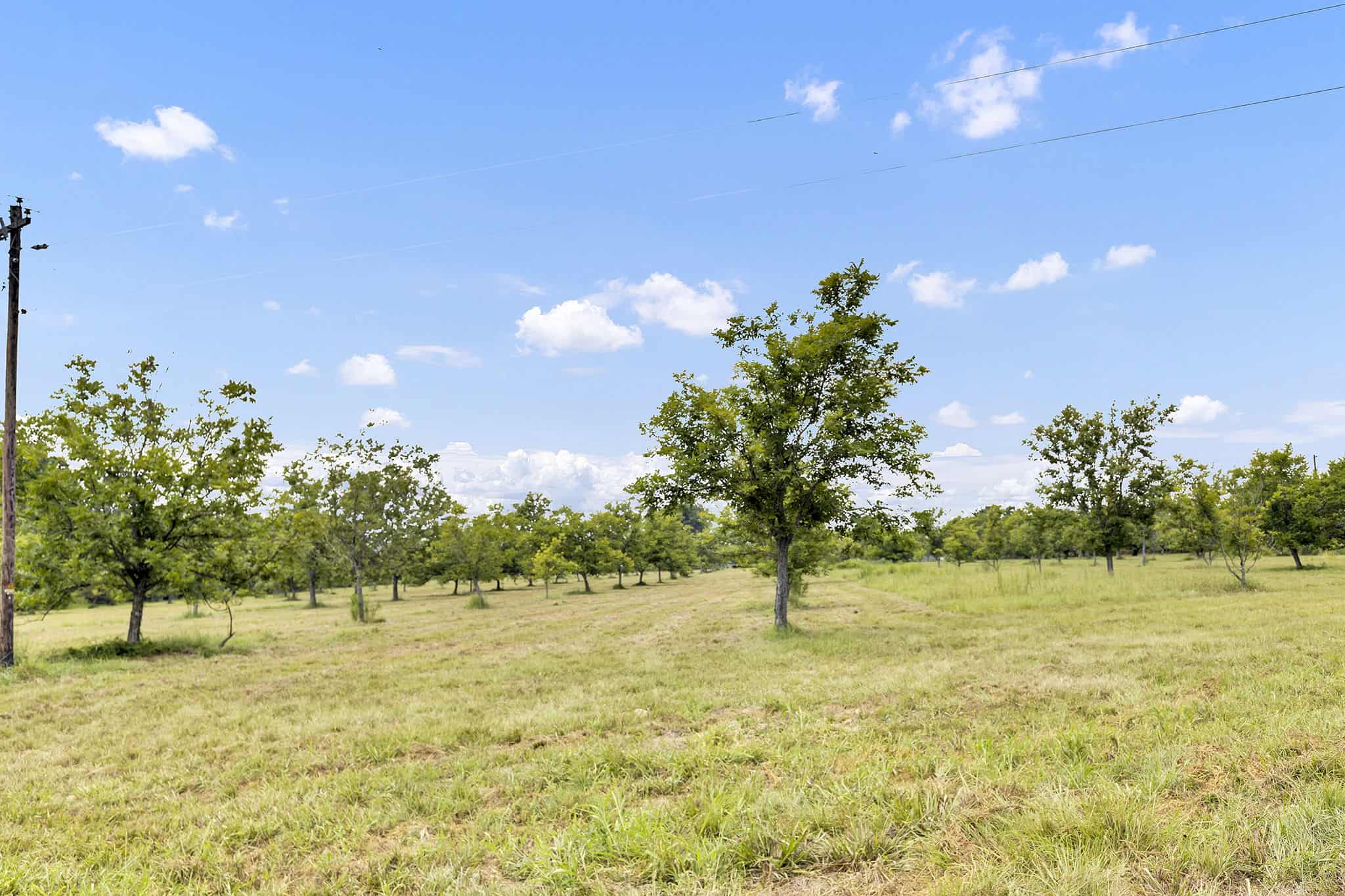 Henderson County Texas Legacy Farm For Sale Near Athens TX