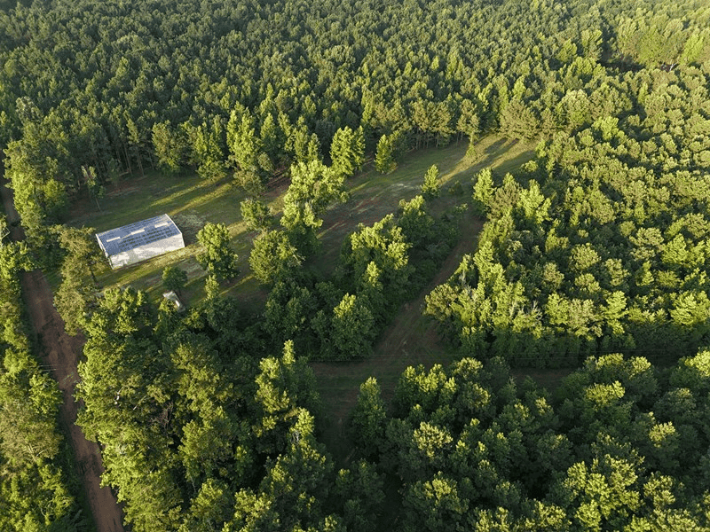 ±24.1 Acres Of East Texas Land With Insulated Shop And Pond