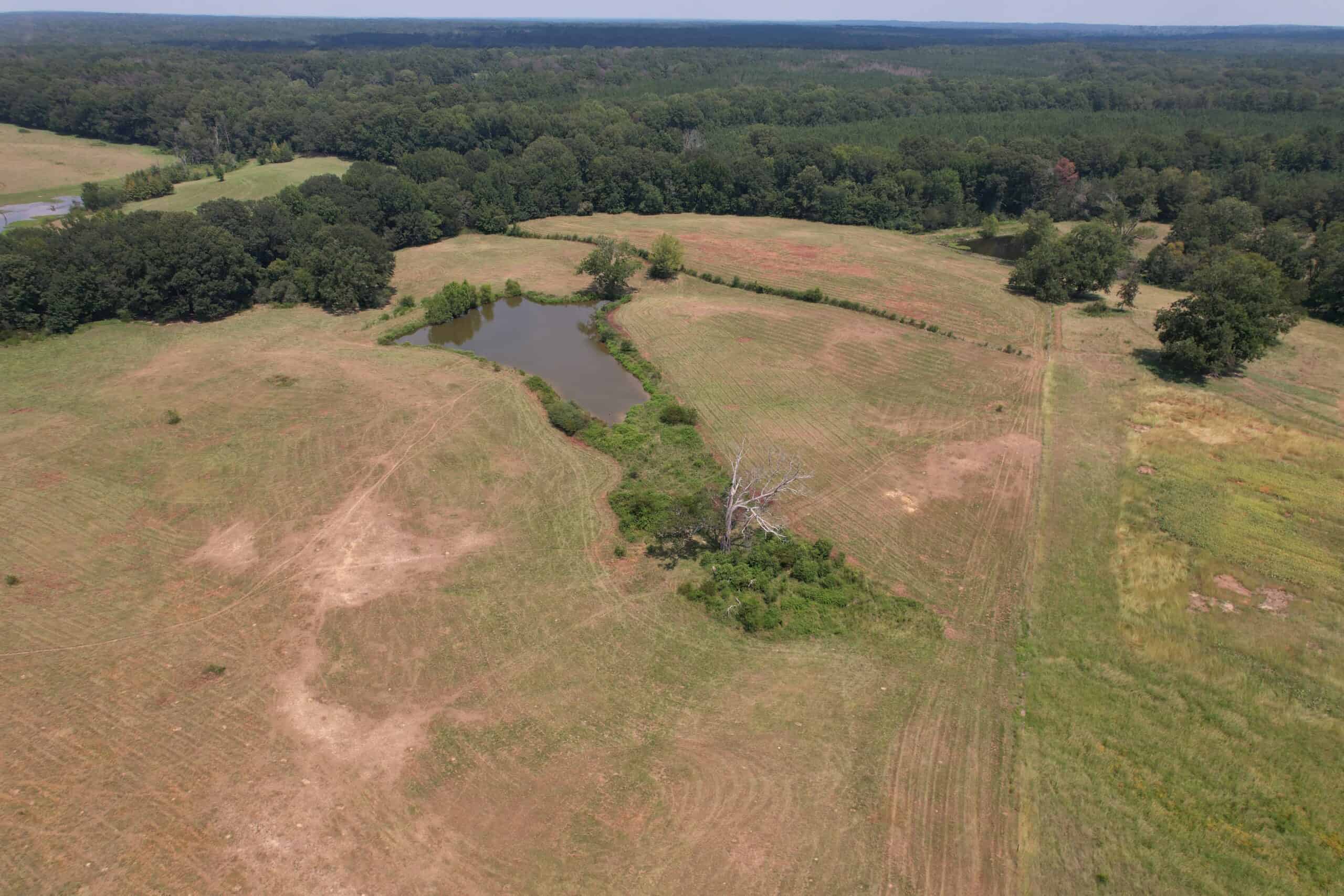 Barndominium and 44 Acres For Sale Copiah County Mississippi