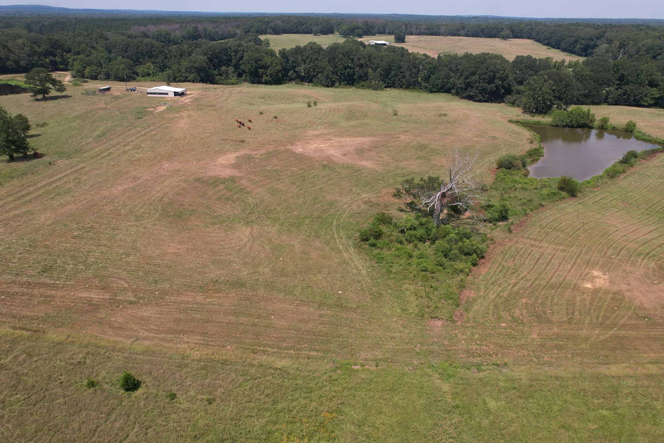 Barndominium and 44 Acres For Sale Copiah County Mississippi