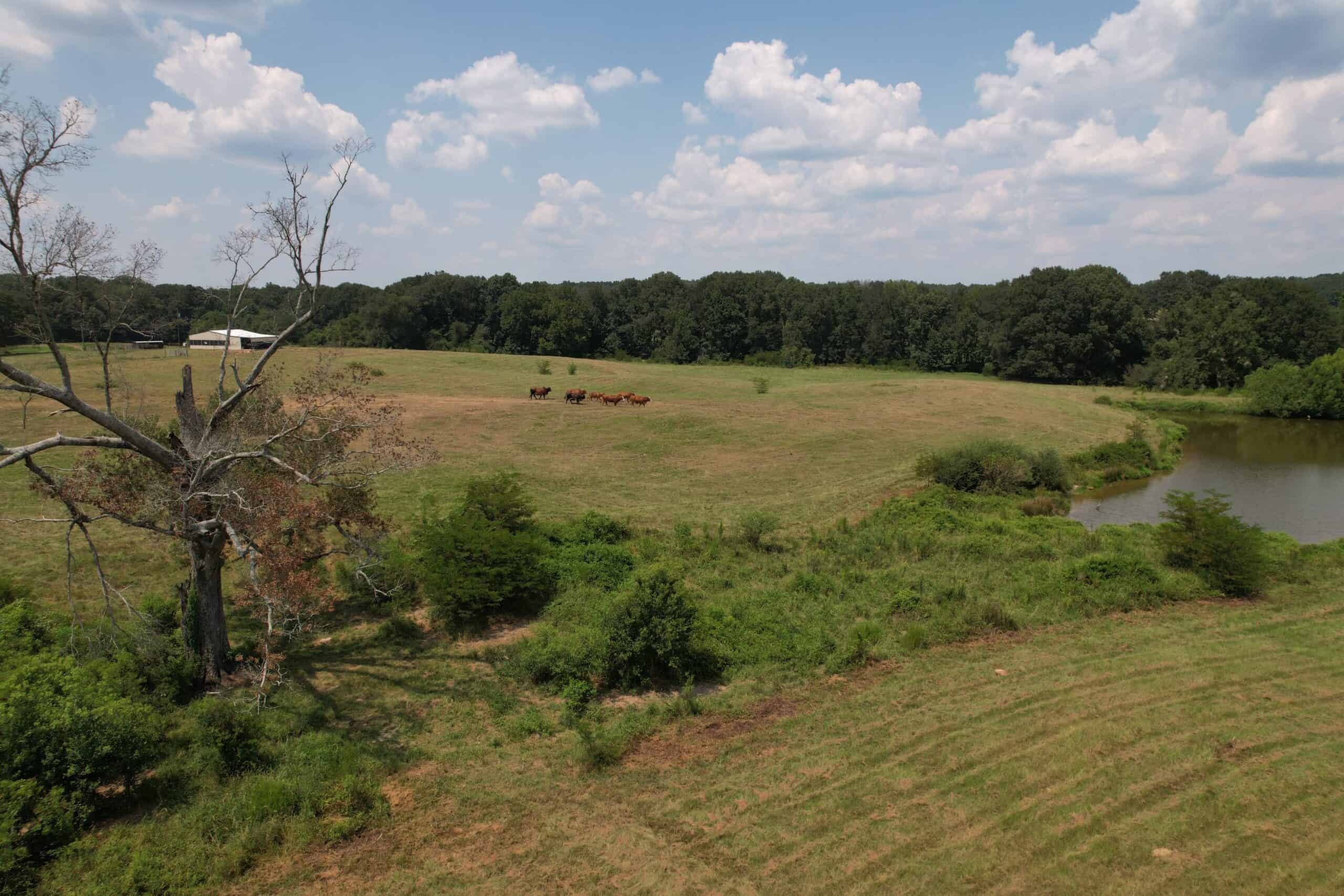 Barndominium and 44 Acres For Sale Copiah County Mississippi