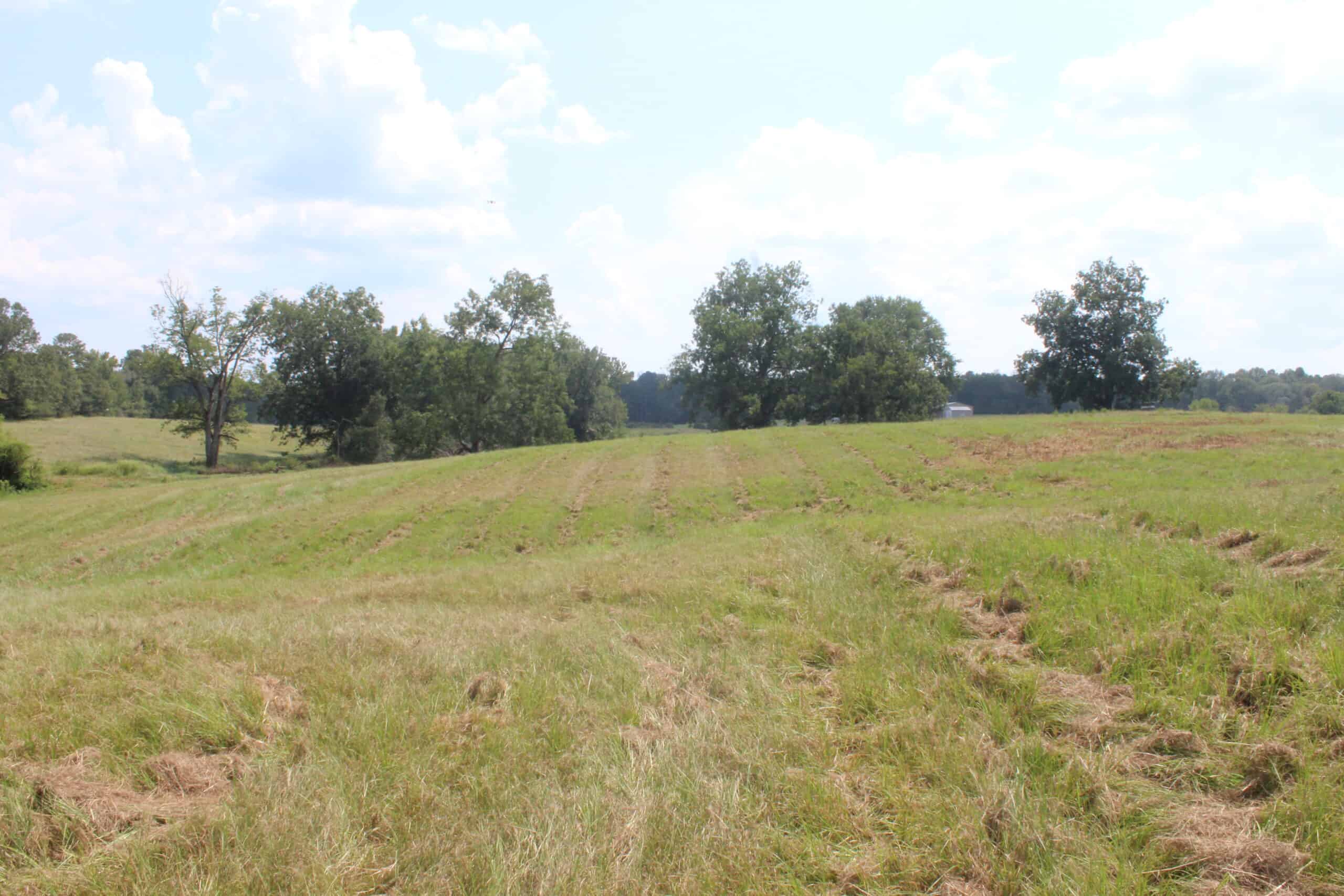 Barndominium and 44 Acres For Sale Copiah County Mississippi