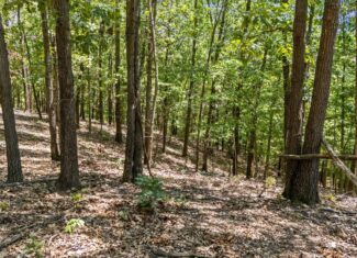 160 Acre Hunting Land in Delaware County Oklahoma