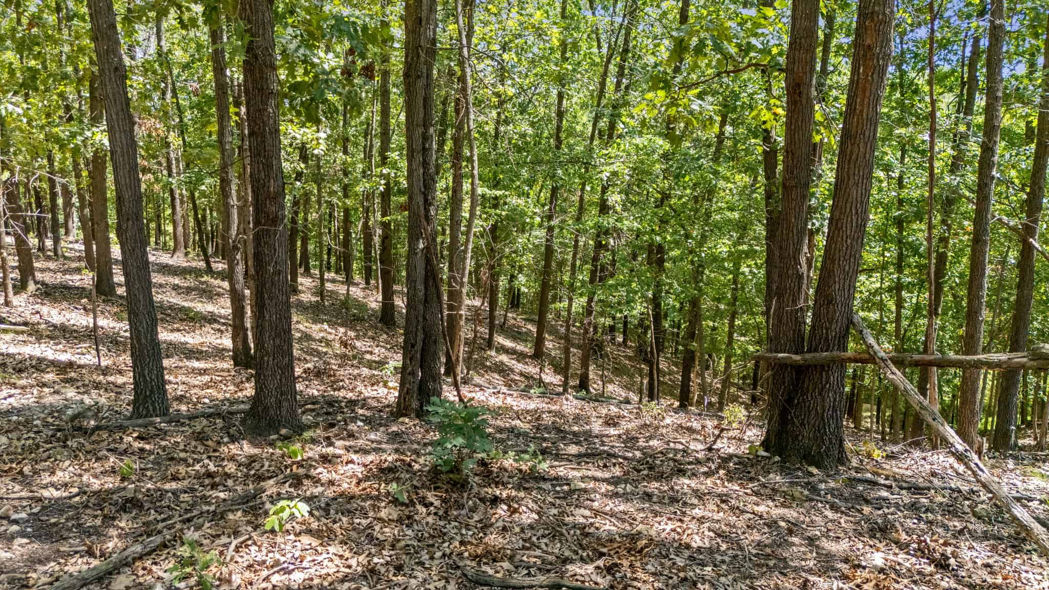 160 Acre Hunting Land in Delaware County Oklahoma