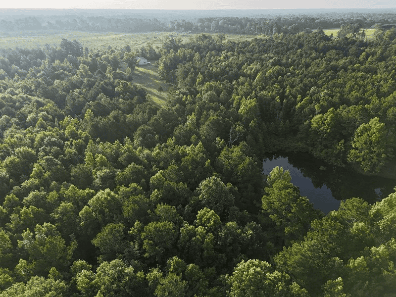 ±24.1 Acres Of East Texas Land With Insulated Shop And Pond