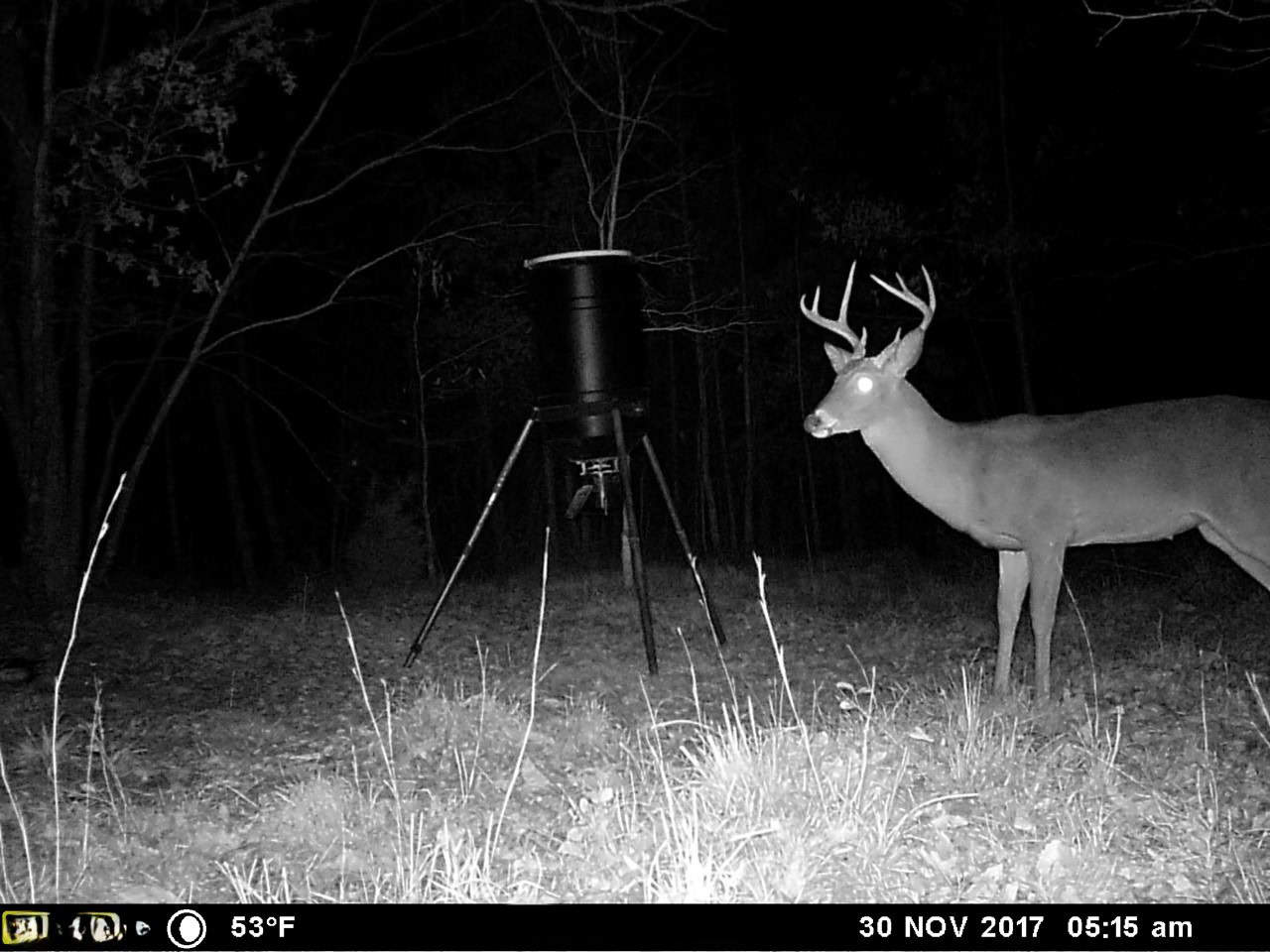 HUNTING PROPERTY FOR SALE IN TN WITH TIMBER AND BRANCH