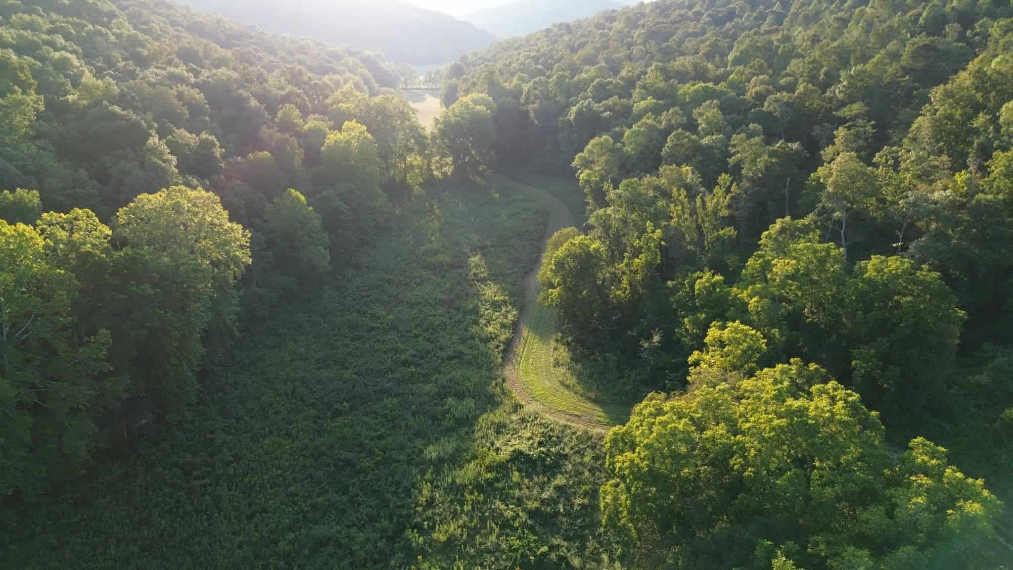Acreage in Wayne County, Kentucky