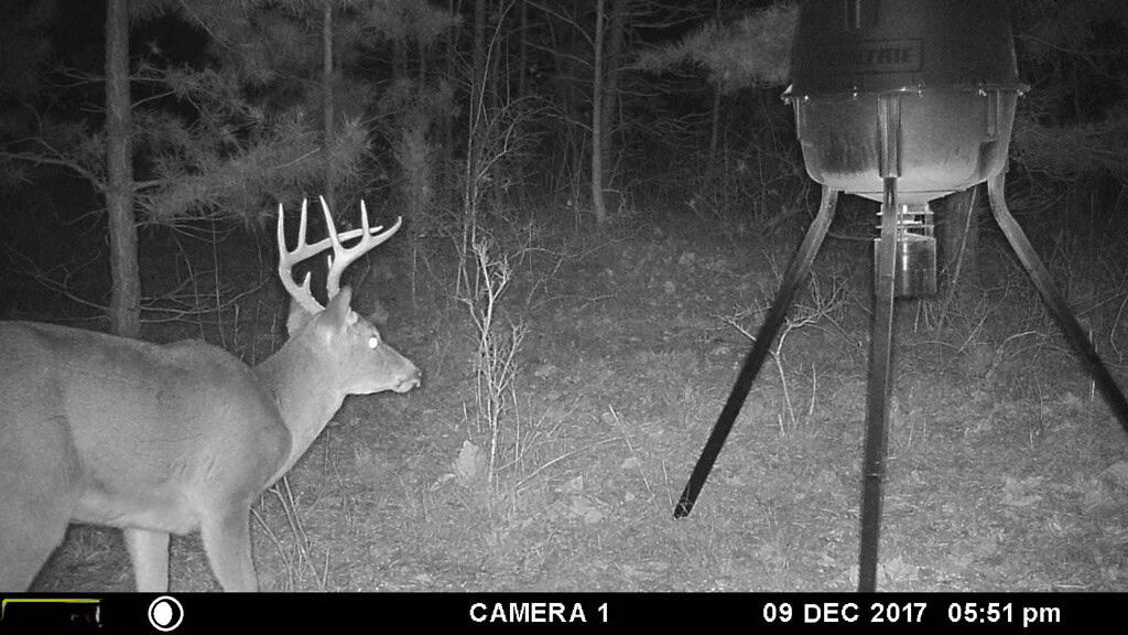 HUNTING PROPERTY FOR SALE IN TN WITH TIMBER AND BRANCH