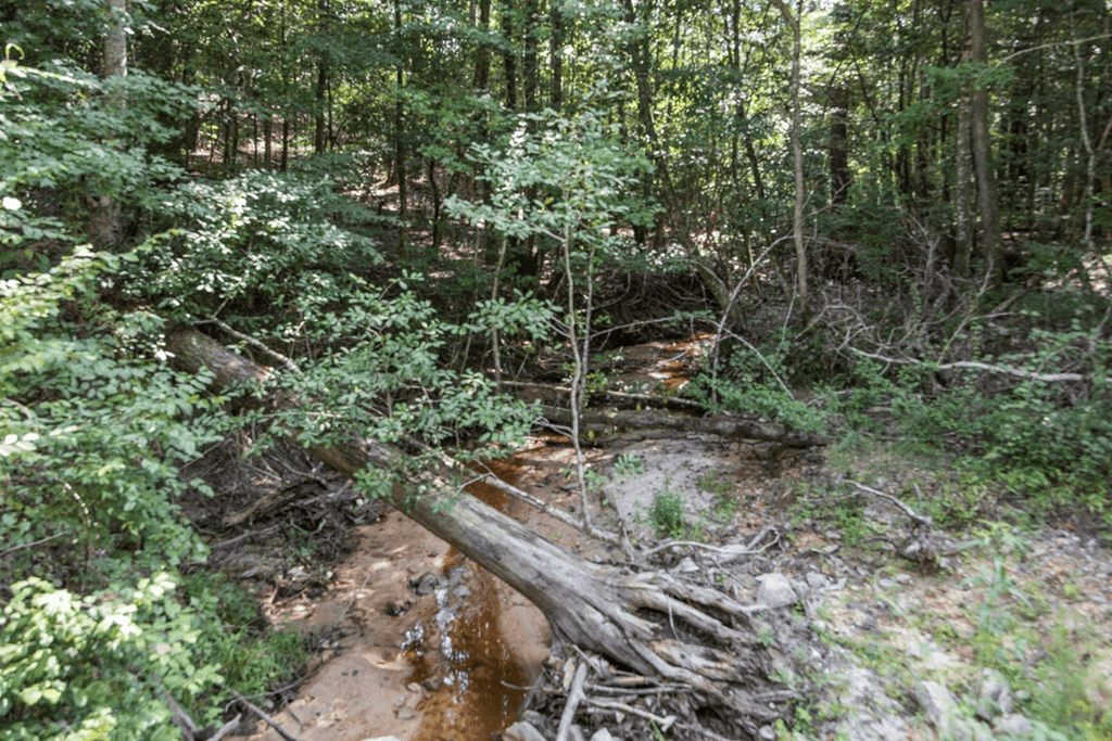 Small Hunting Property Near Caston Creek WMA
