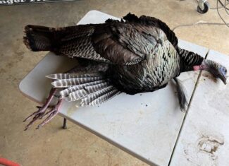 McCurtain County Oklahoma Hunting Property