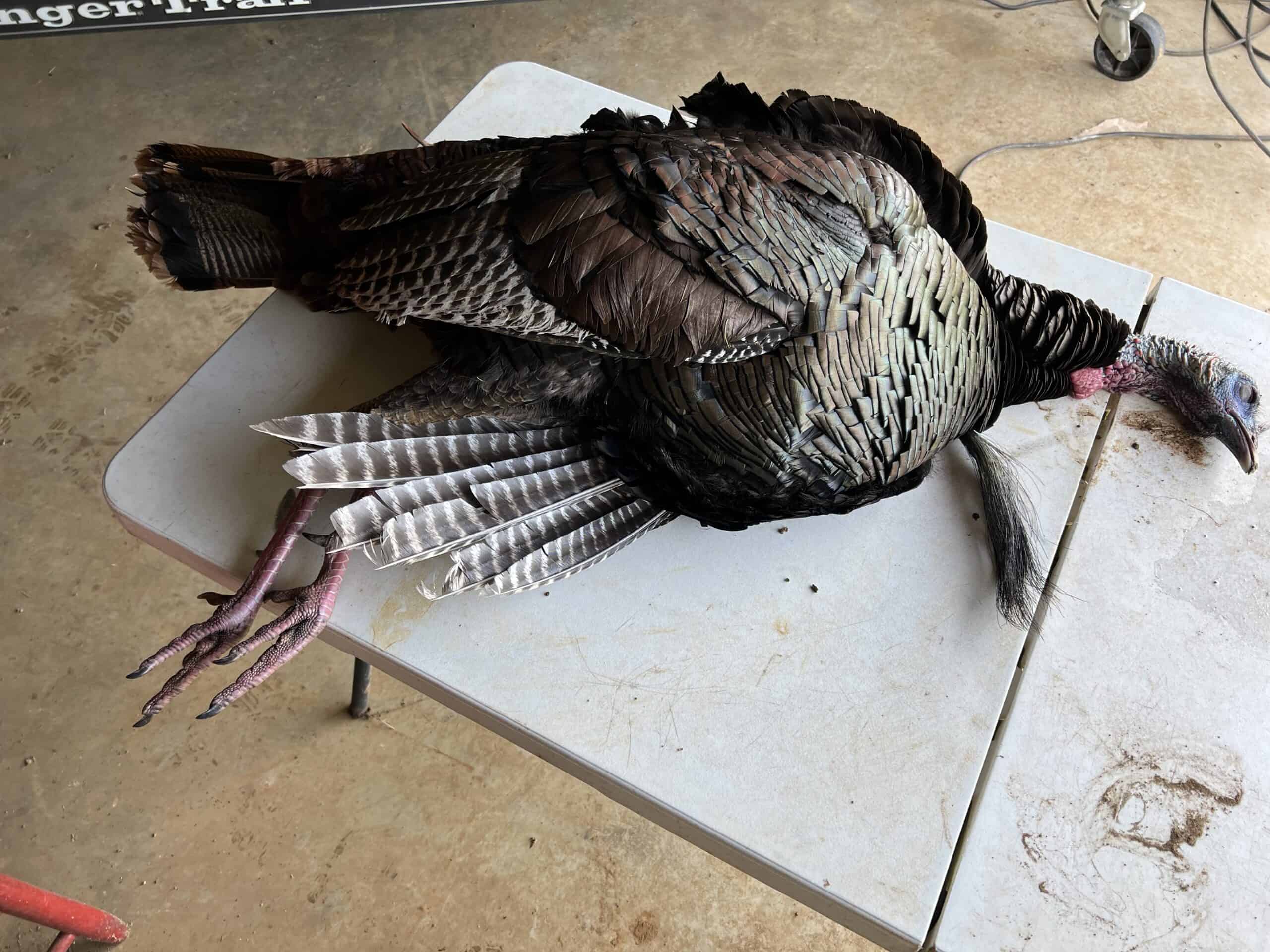 McCurtain County Oklahoma Hunting Property