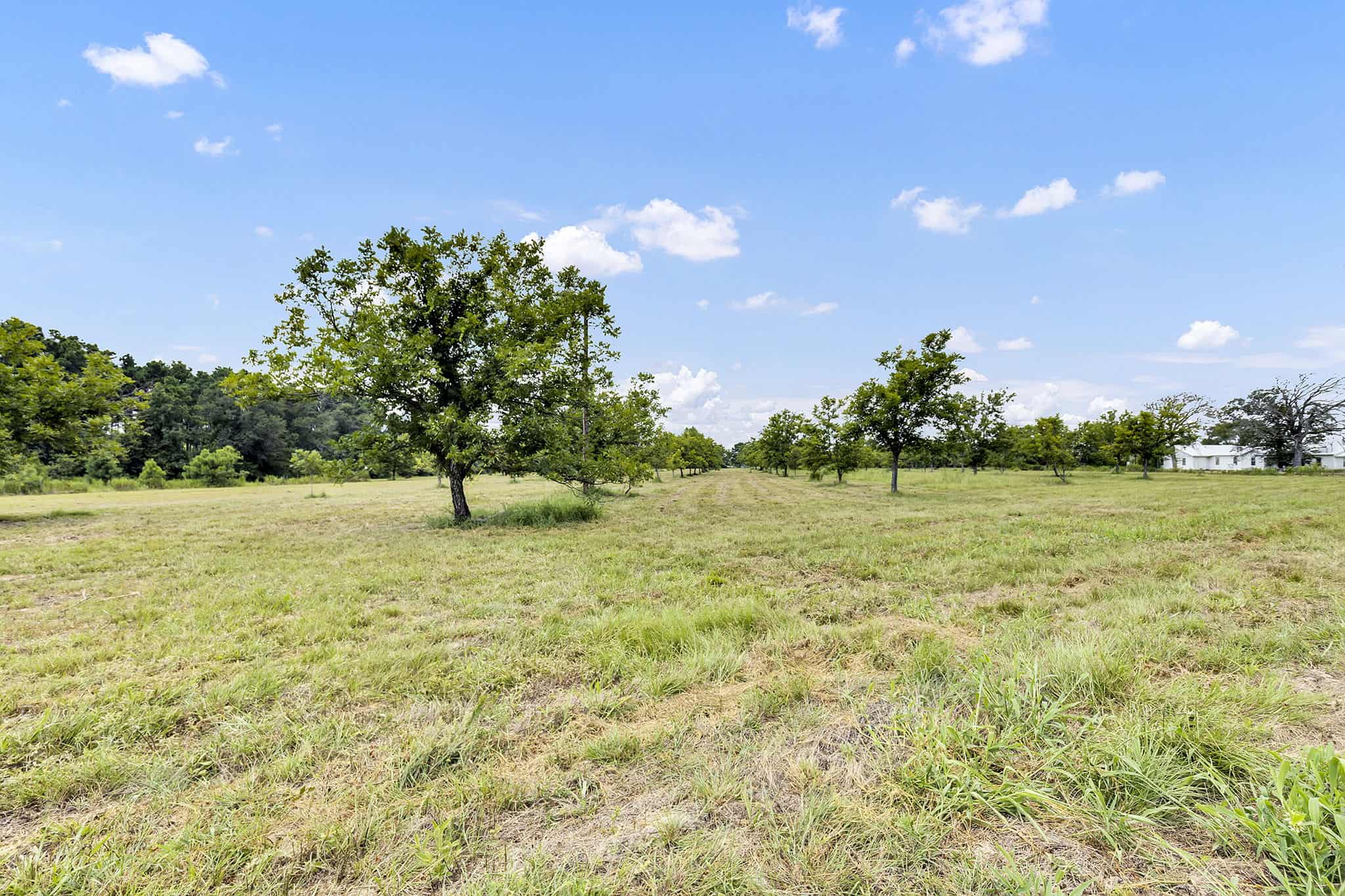 Henderson County Texas Legacy Farm For Sale Near Athens TX