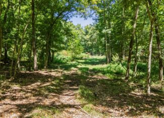 160 Acre Hunting Land in Delaware County Oklahoma