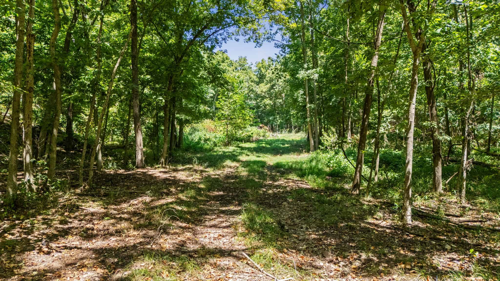 160 Acre Hunting Land in Delaware County Oklahoma