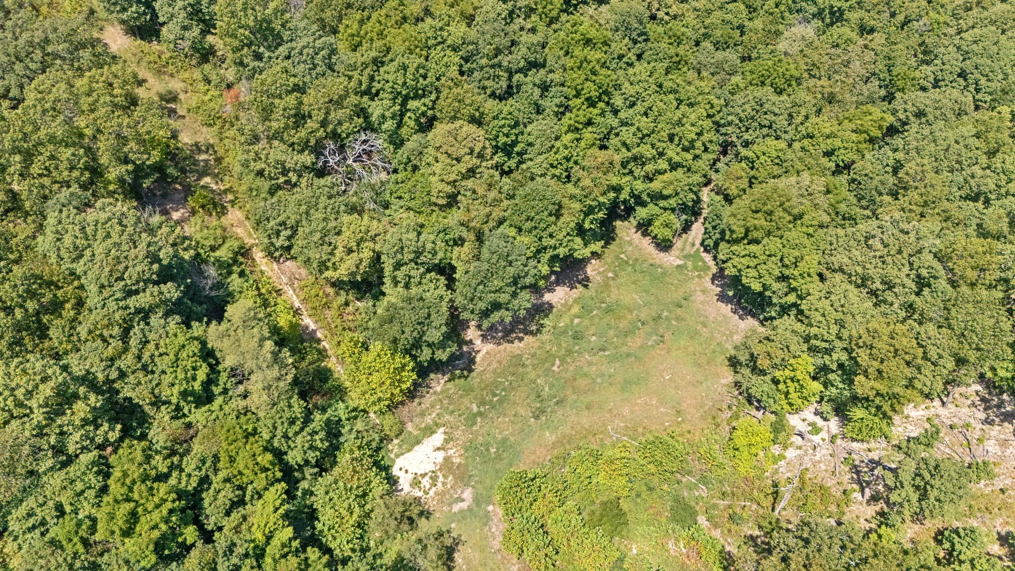 160 Acre Hunting Land in Delaware County Oklahoma