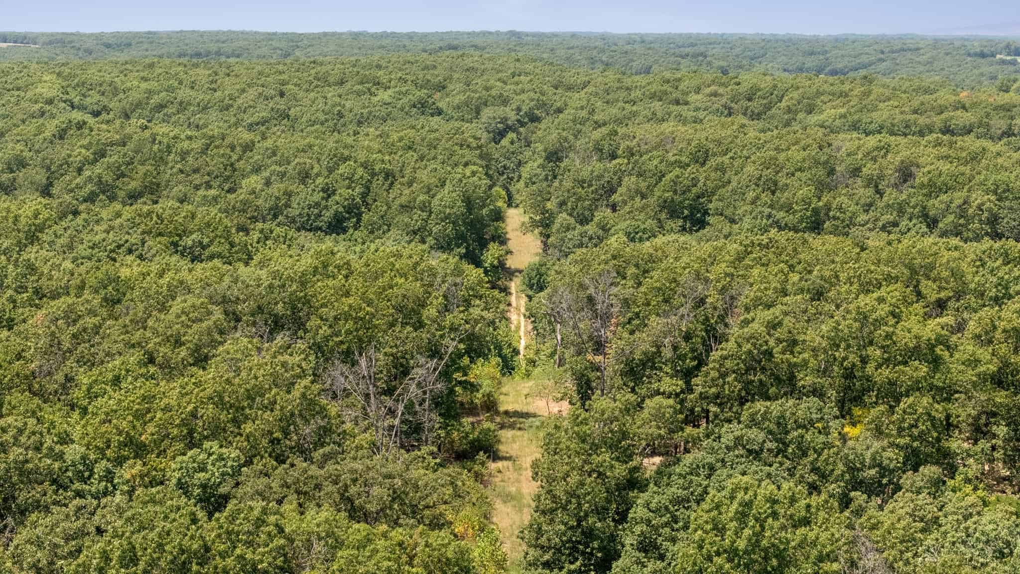 160 Acre Hunting Land in Delaware County Oklahoma