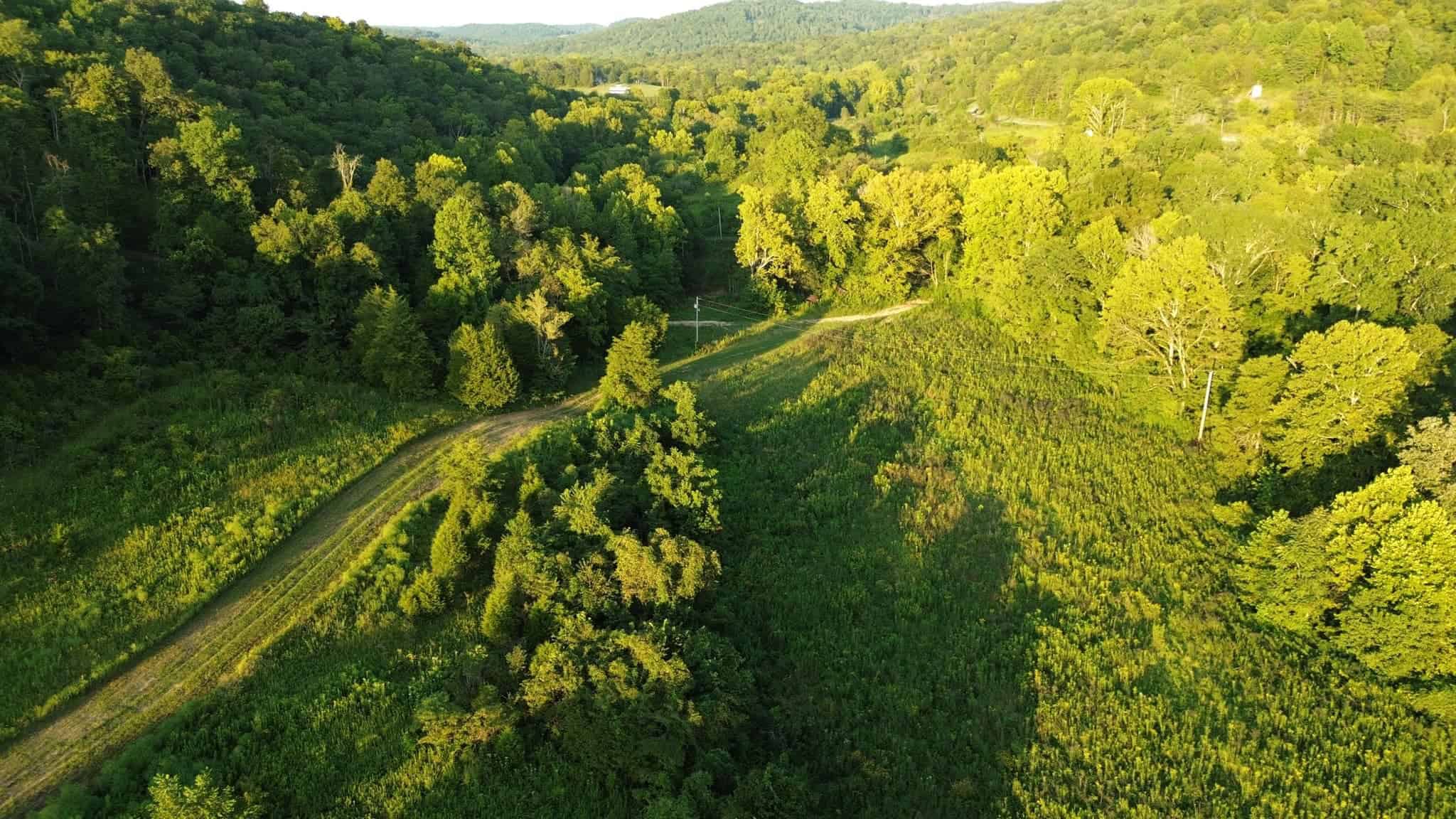 Acreage in Wayne County, Kentucky