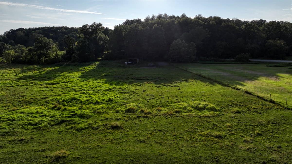 37+ Acres of Unlimited Potential – Elroy, WI