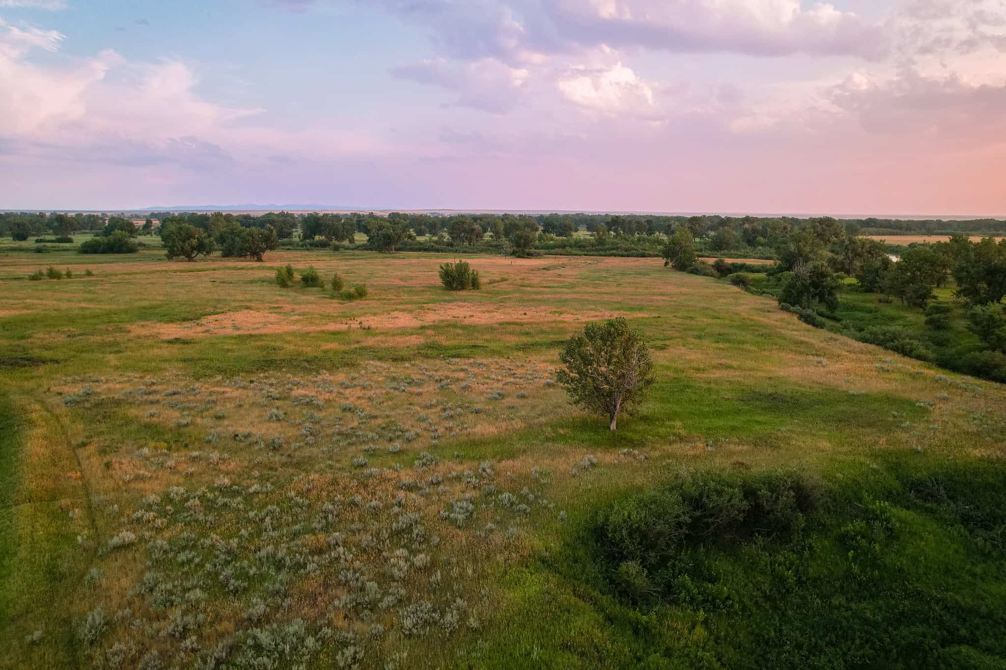Milk River Treasure Ranch Dryland Farm Hay Production
