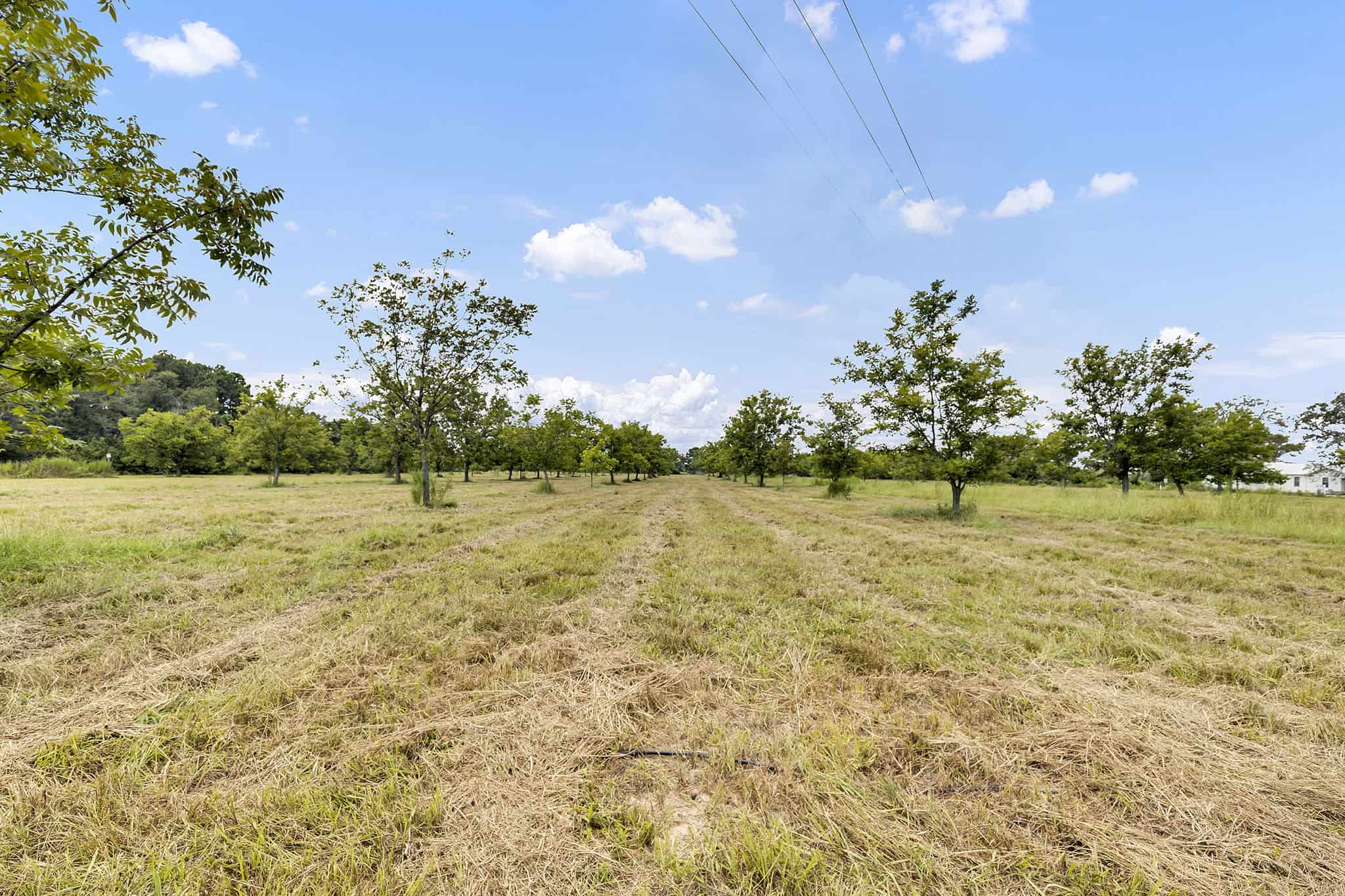 Henderson County Texas Legacy Farm For Sale Near Athens TX
