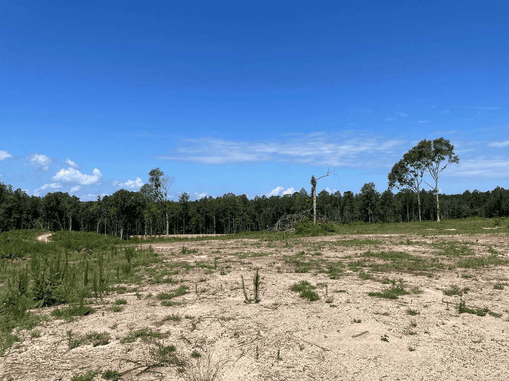 Mt Hermon 20 Acres For Sale