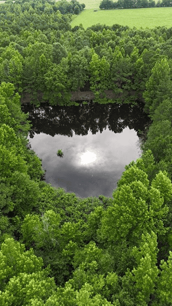 ±24.1 Acres Of East Texas Land With Insulated Shop And Pond