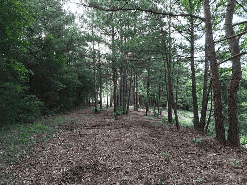 ±24.1 Acres Of East Texas Land With Insulated Shop And Pond