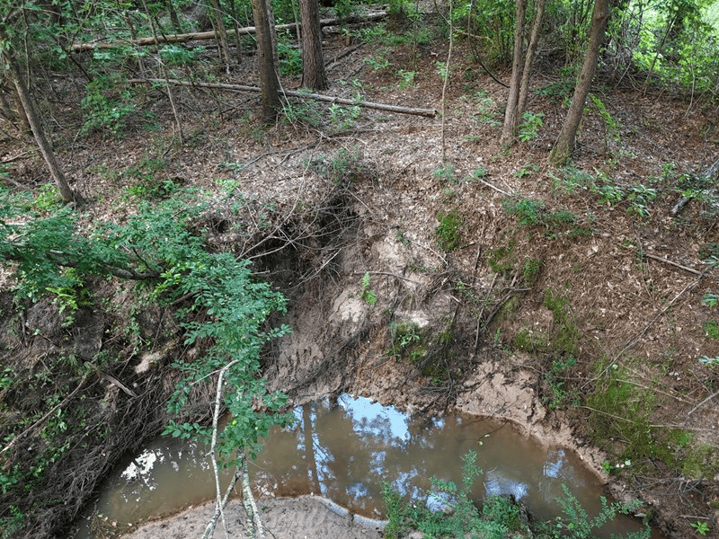 ±24.1 Acres Of East Texas Land With Insulated Shop And Pond
