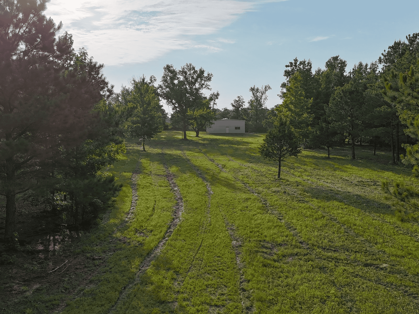 ±24.1 Acres Of East Texas Land With Insulated Shop And Pond