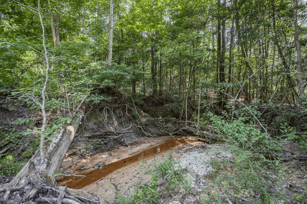 Small Hunting Property Near Caston Creek WMA